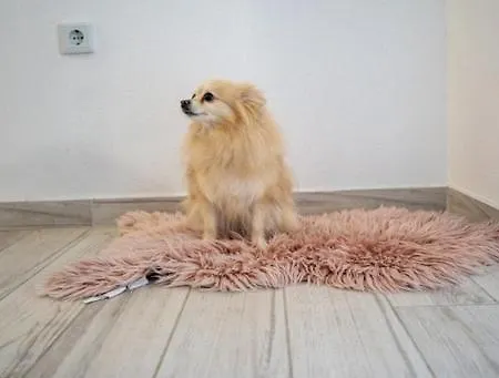 Apartamento Nikola Neum